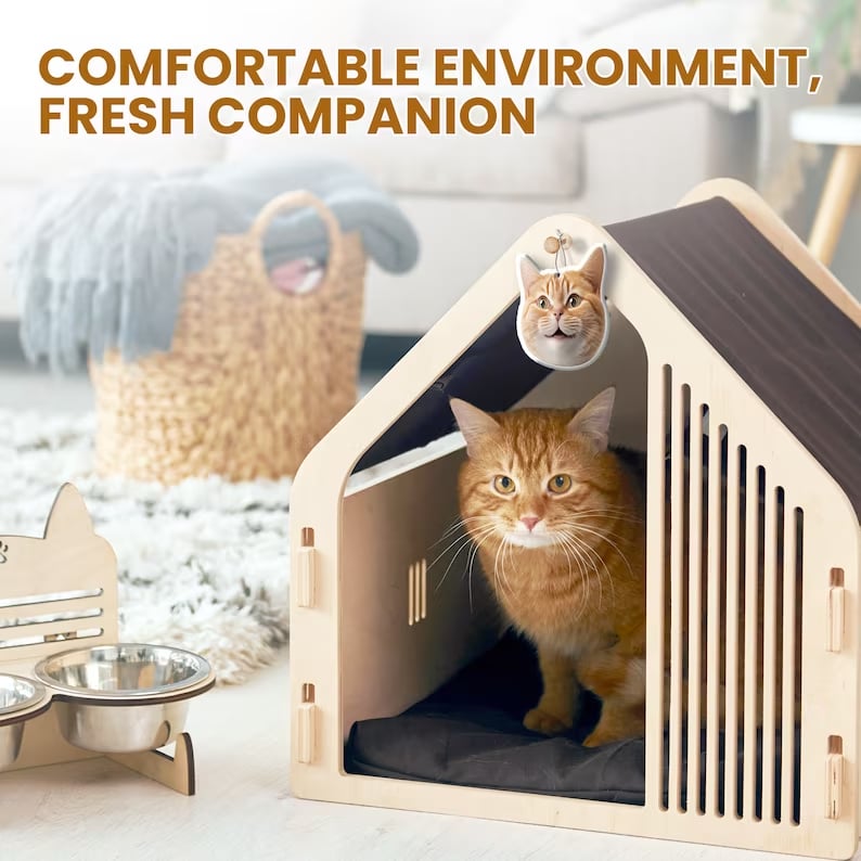 Picture Air Freshener - Cute Car Accessories, Photo Freshener