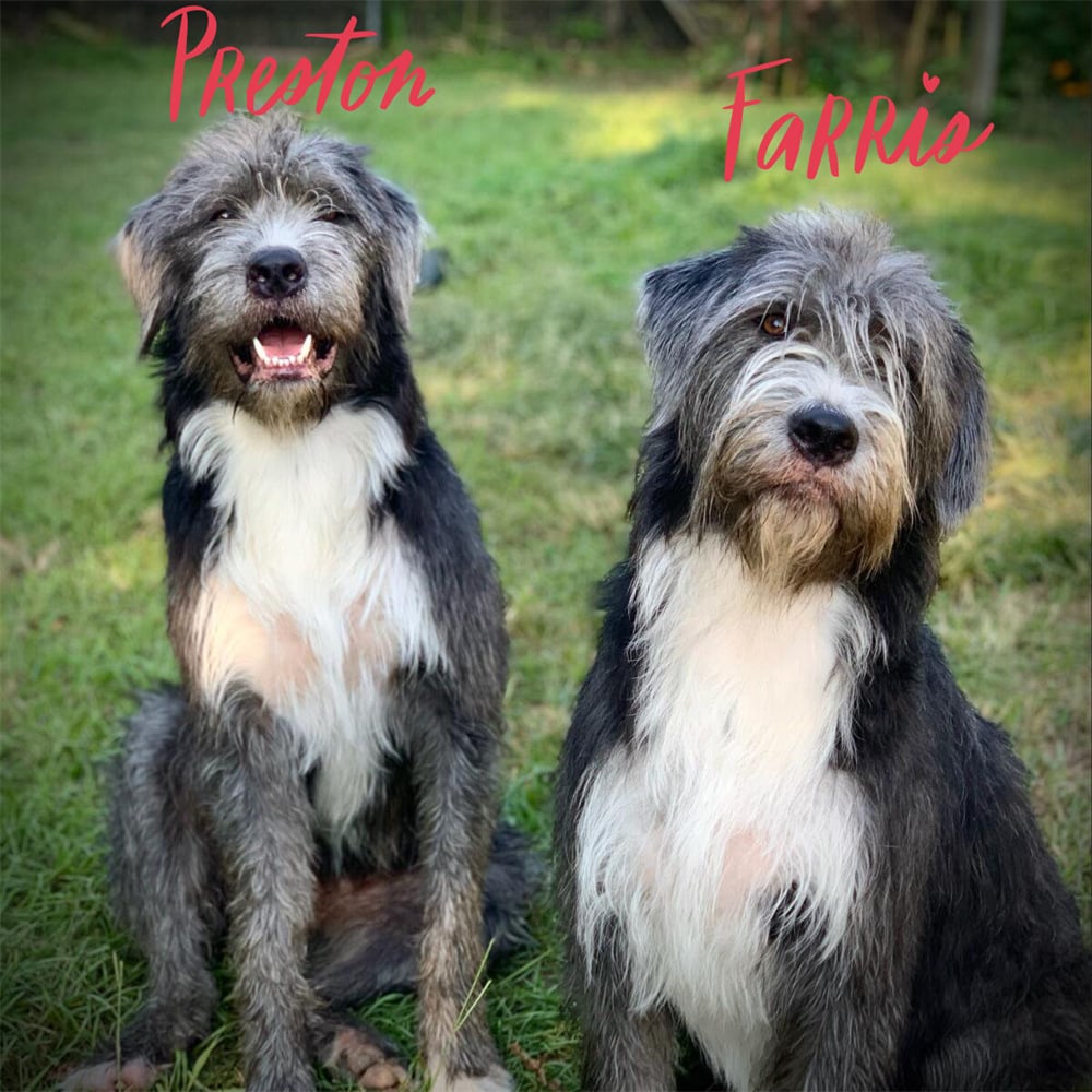 Paw Print Nature Gemstone Necklace