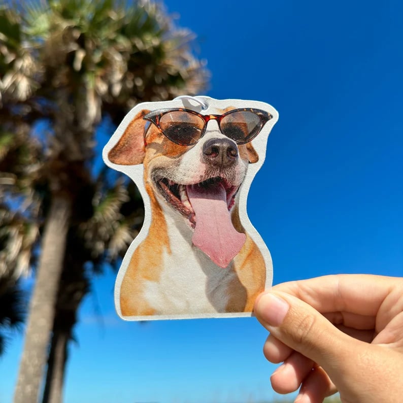 Picture Air Freshener - Cute Car Accessories, Photo Freshener